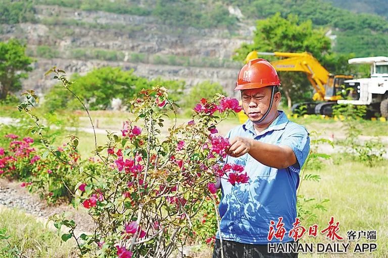 海南这座矿山，为何这么绿？4.jpg
