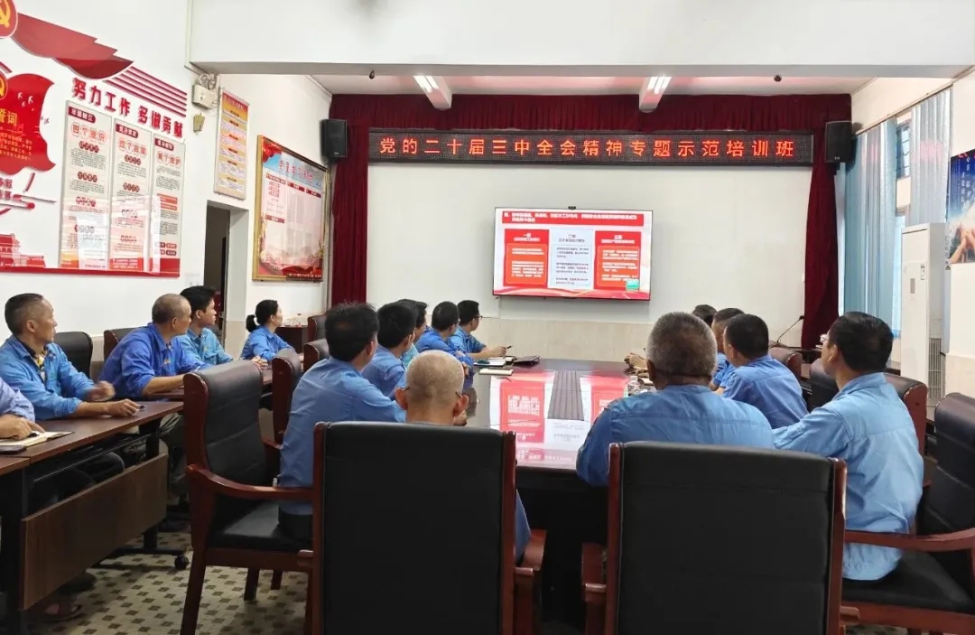 918博天堂组织旁观进建贯彻党的二十届三中全会心灵专题示范班讲堂视频直播